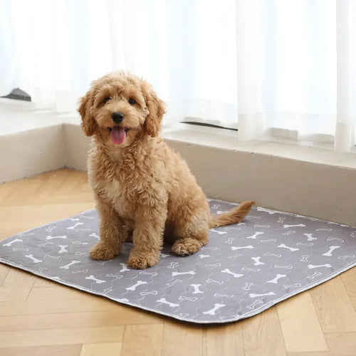 Pawlivera LuxePad™