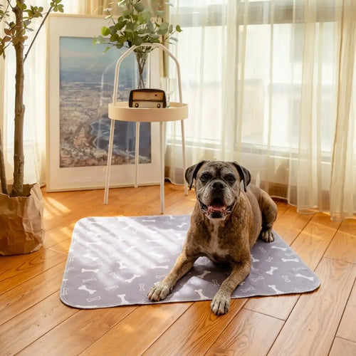 Pawlivera LuxePad™