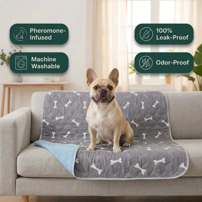 Pawlivera LuxePad™